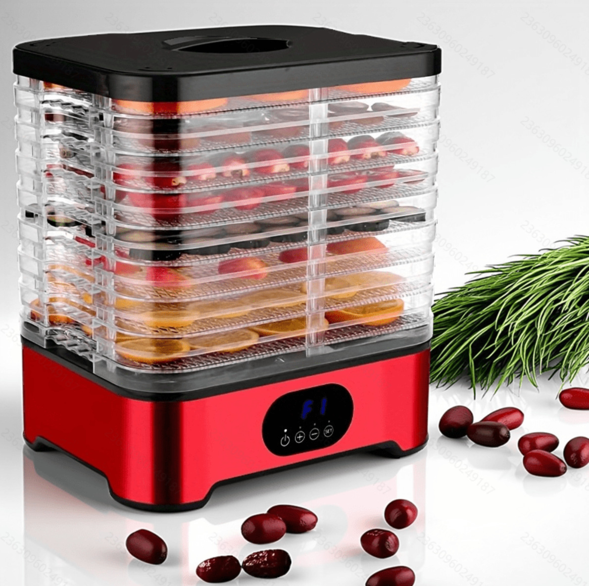 Essiccatore Intelligente 110-2 - Food Snacks Business Ideas recensione e prezzo